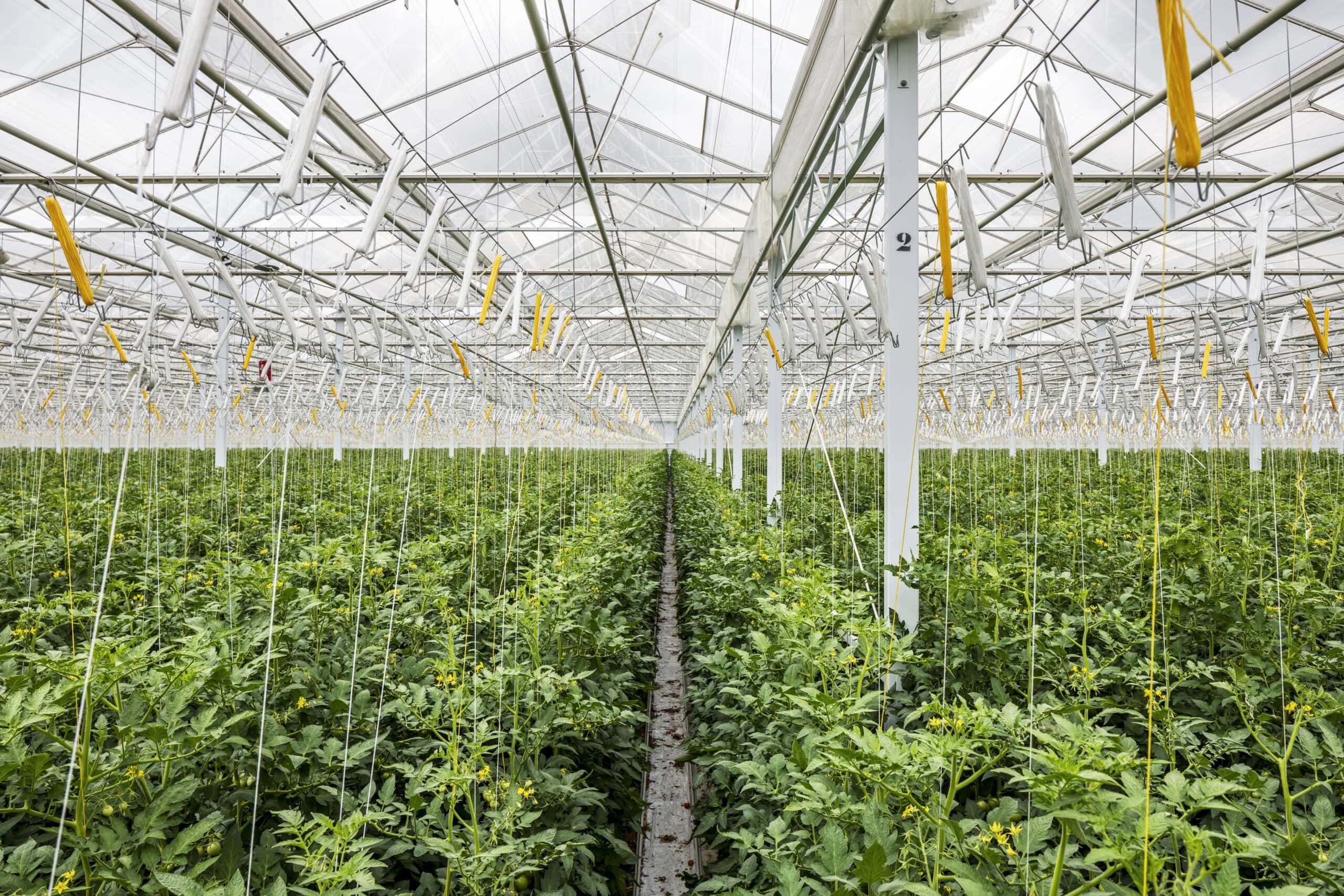 Fenland Greenhouse - AGR Power